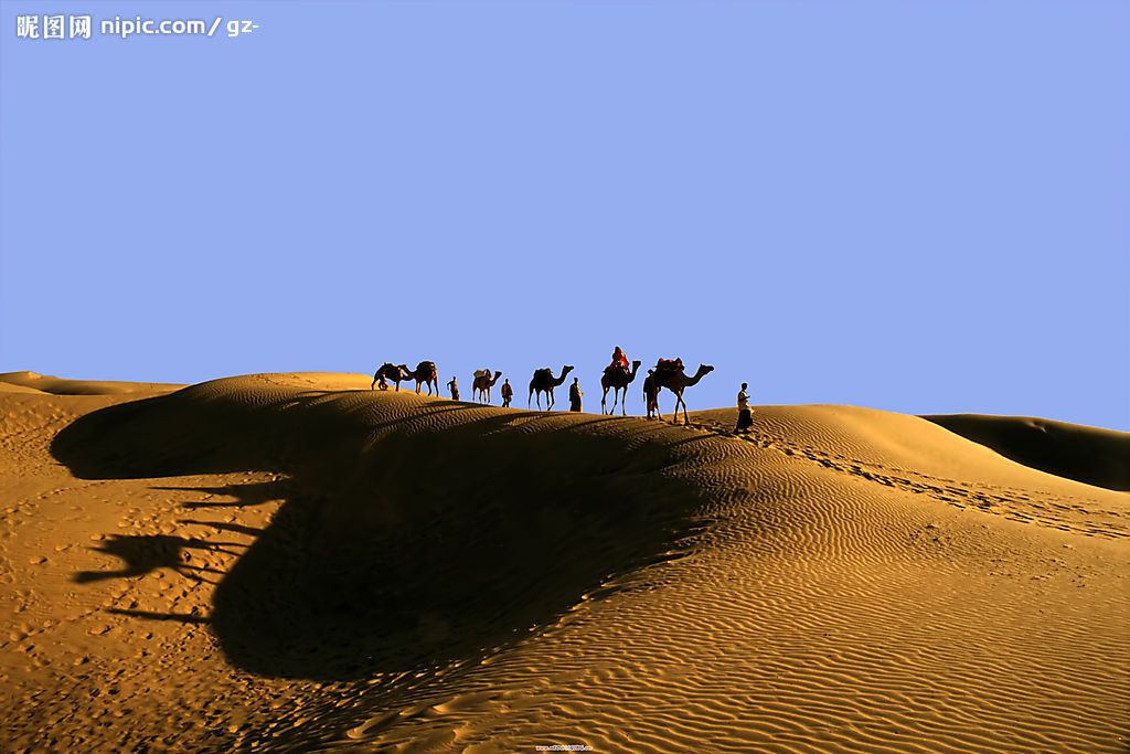 activity-img