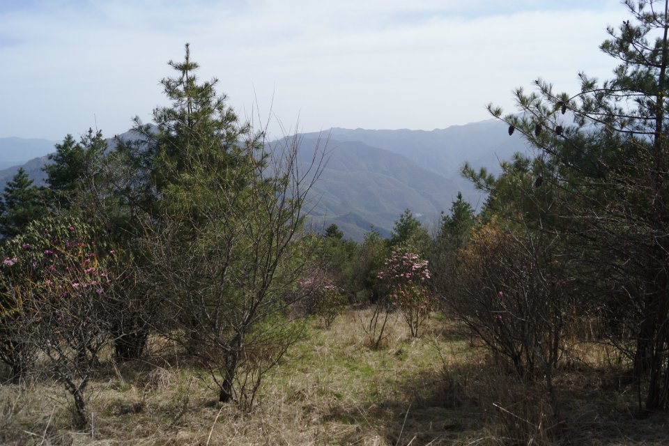 activity-img