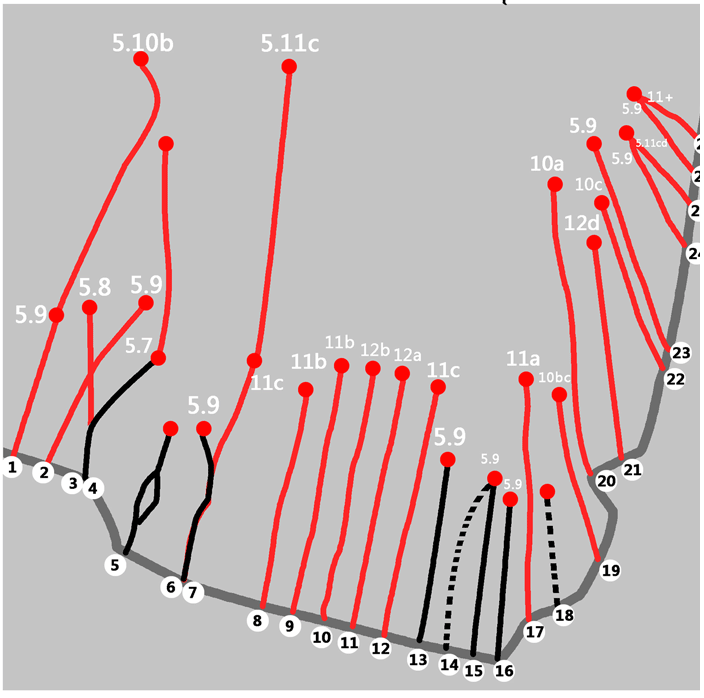 activity-img