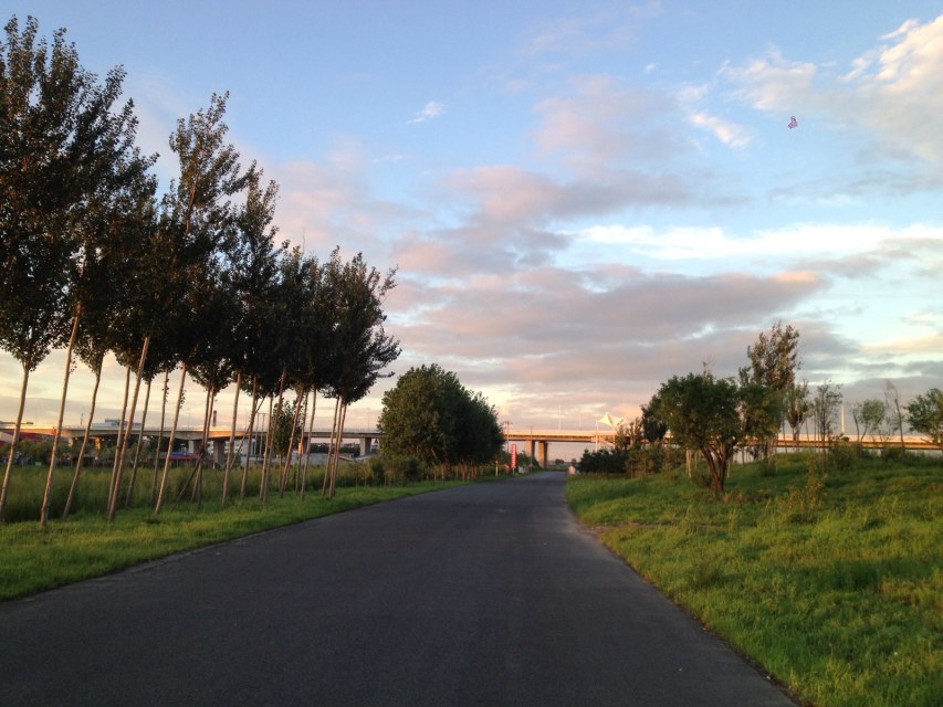 activity-img