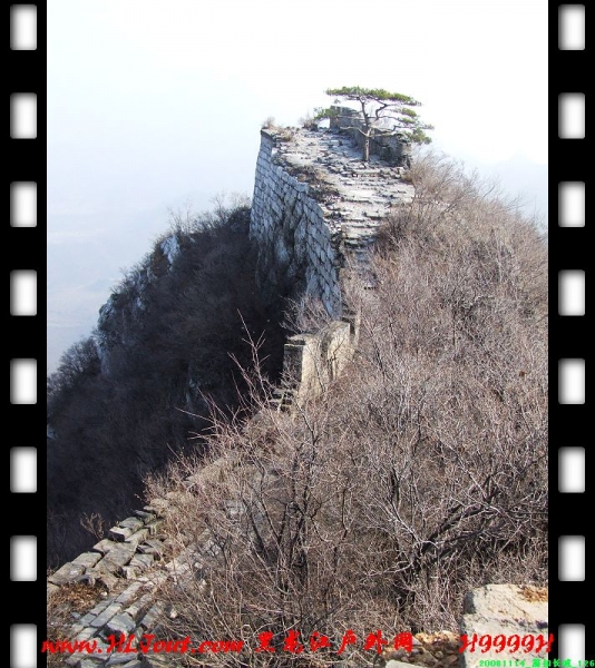 20081114_���۳���_126.jpg