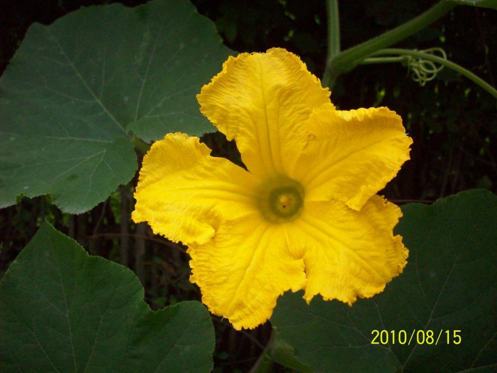 100_5869.JPG