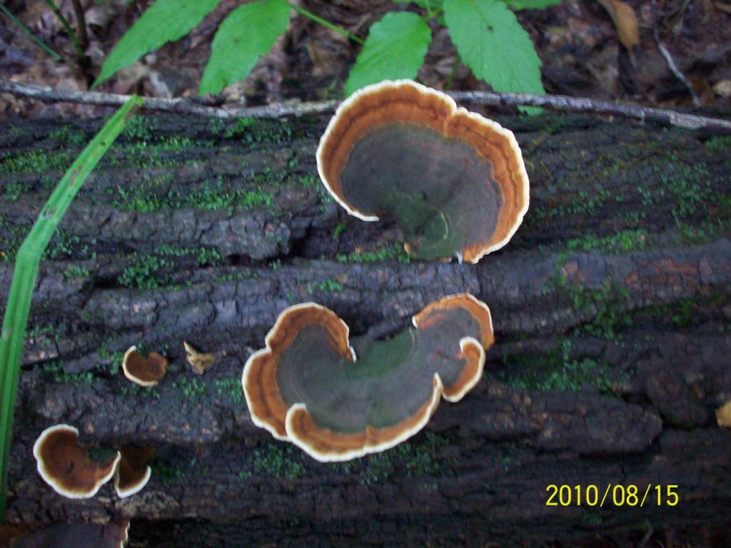 100_5928.JPG