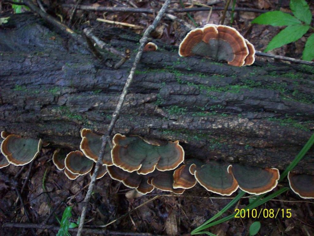 100_5929.JPG