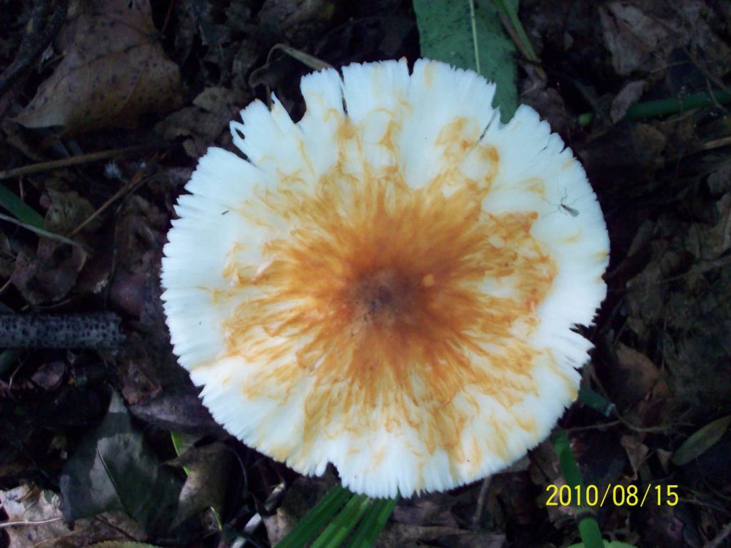 100_5967.JPG