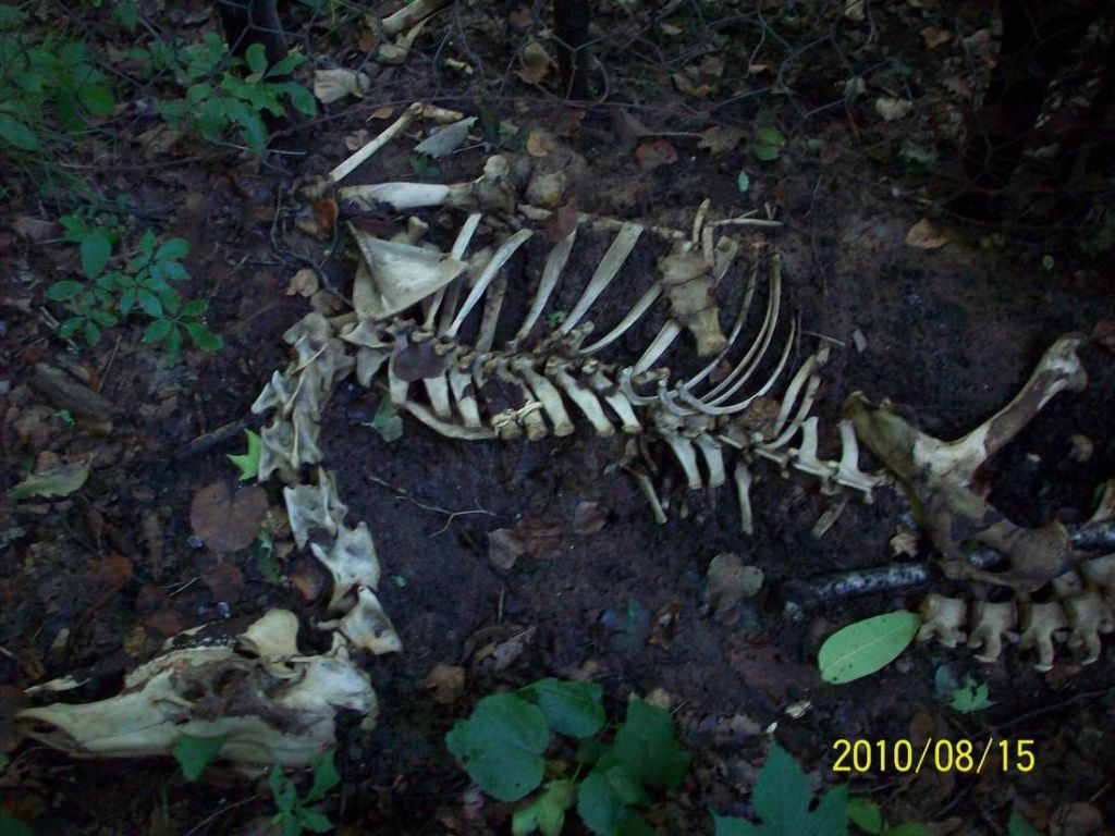 100_6049.JPG