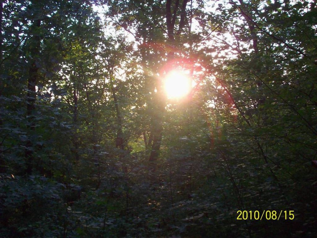 100_6088.JPG