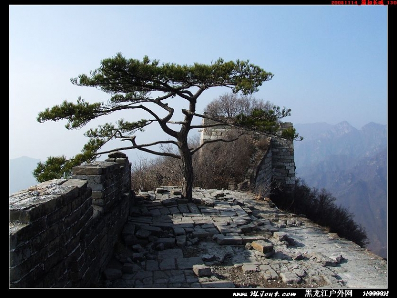 20081114_���۳���_130.jpg