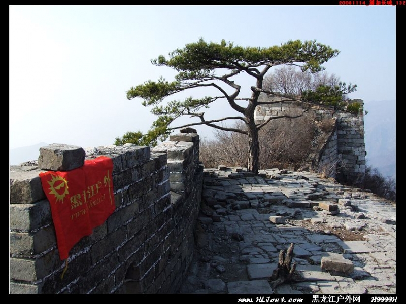 20081114_���۳���_132.jpg