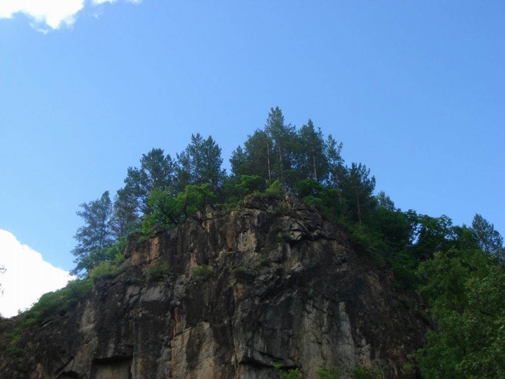 DSC08883.JPG