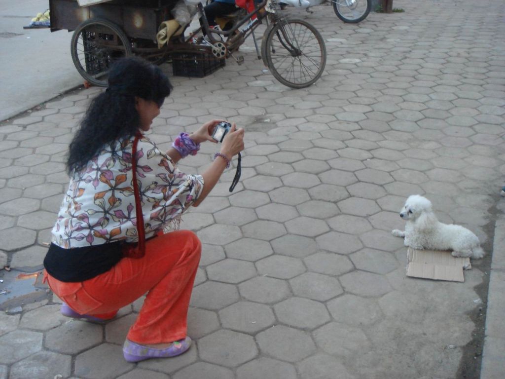 DSC08903.JPG