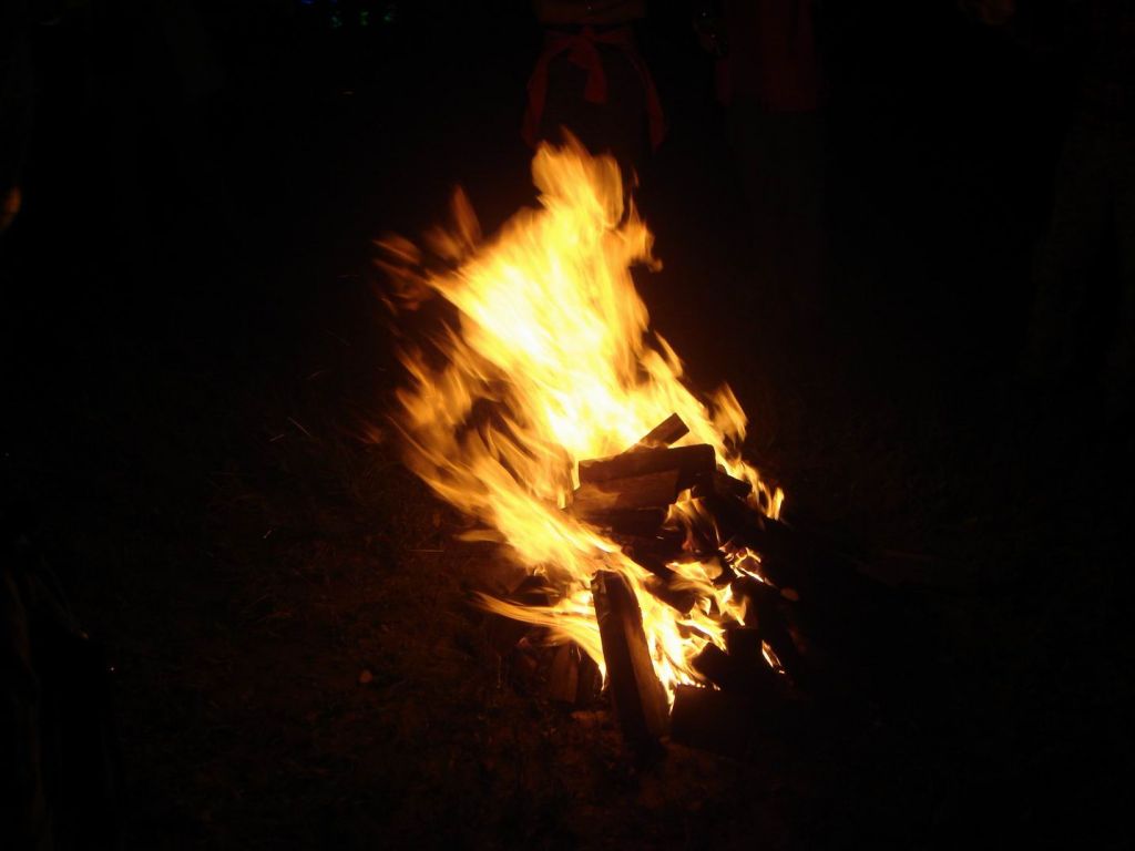 DSC08918.JPG