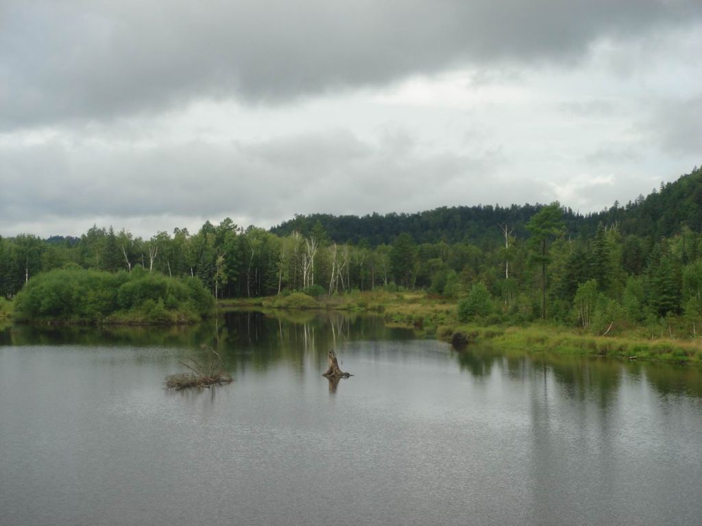 DSC08942.JPG