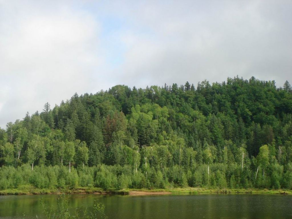 DSC08941.JPG