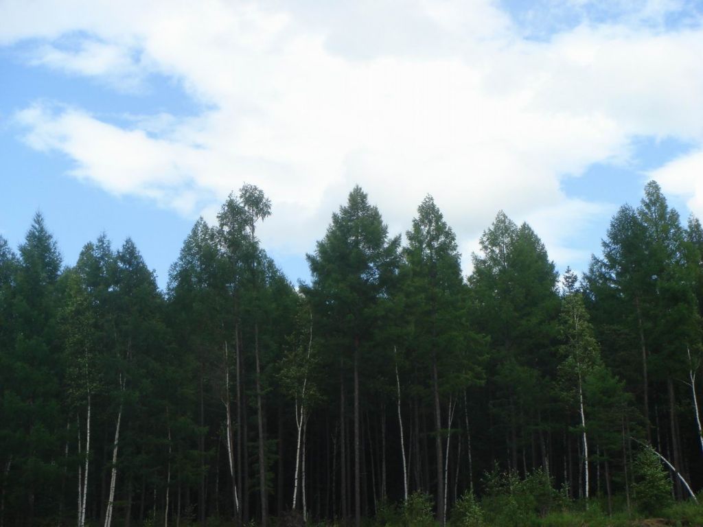 DSC08960.JPG