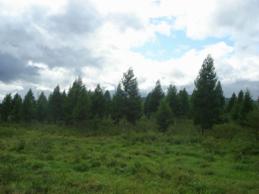 DSC08978.JPG