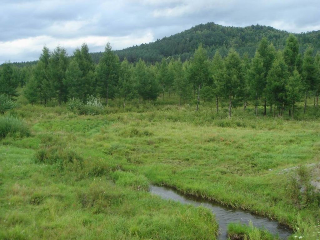 DSC08983.JPG