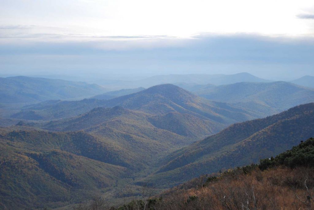 DSC_1483.jpg