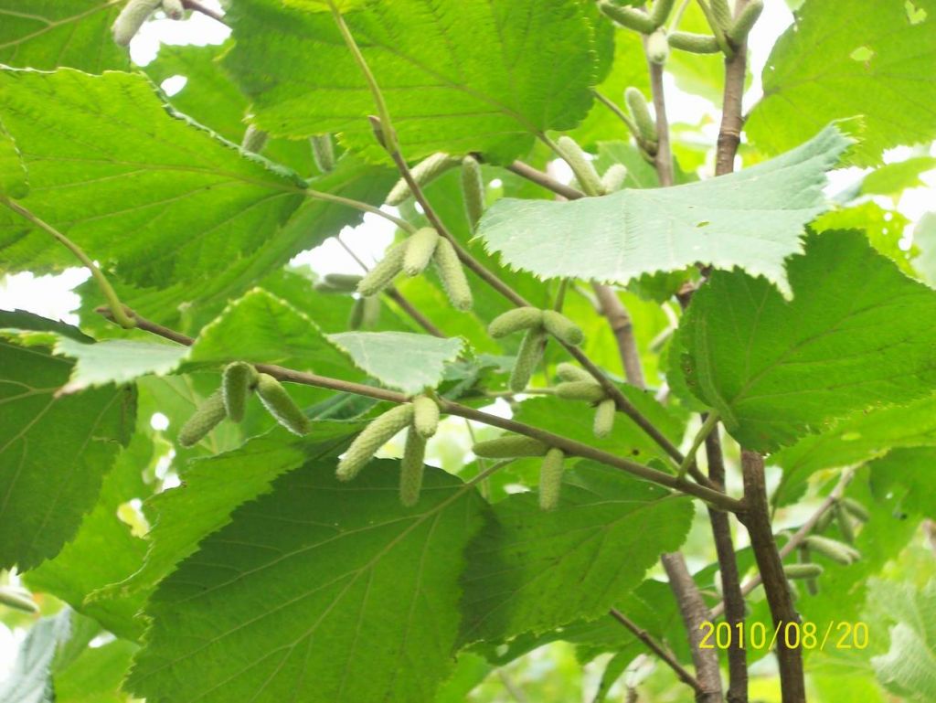 100_6183.JPG
