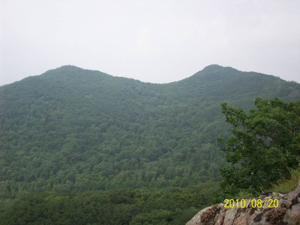 100_6316.JPG