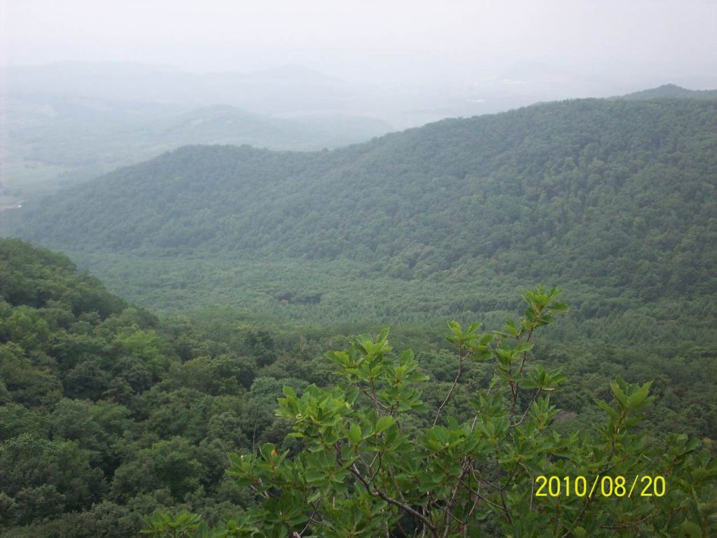 100_6313.JPG