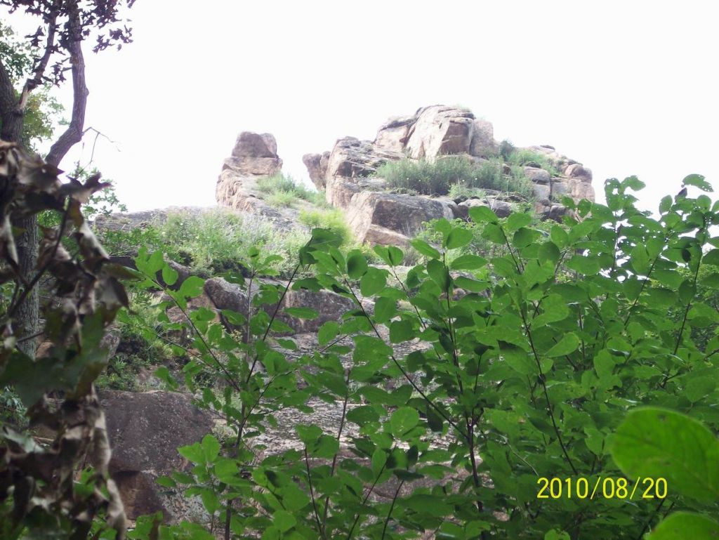 100_6381.JPG