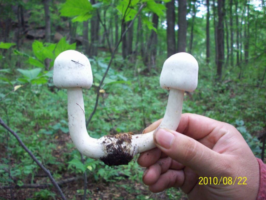 100_6424.JPG