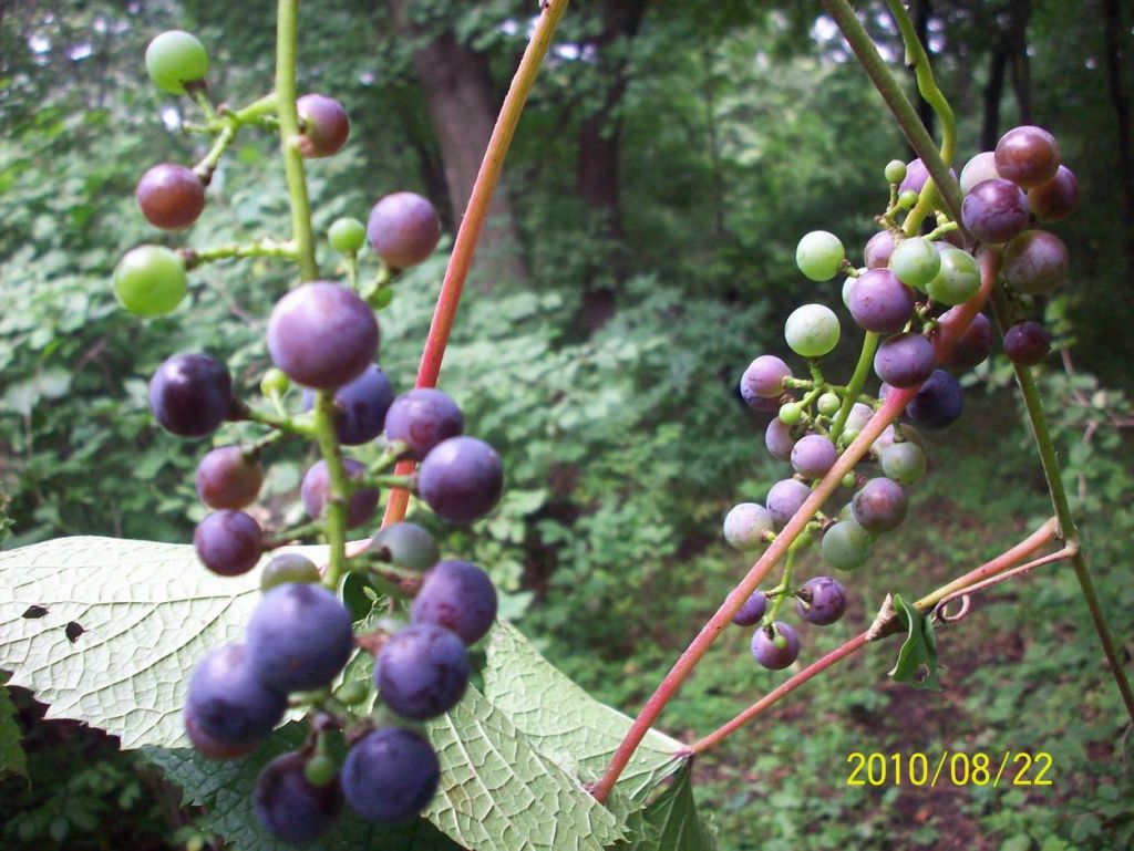 100_6473.JPG