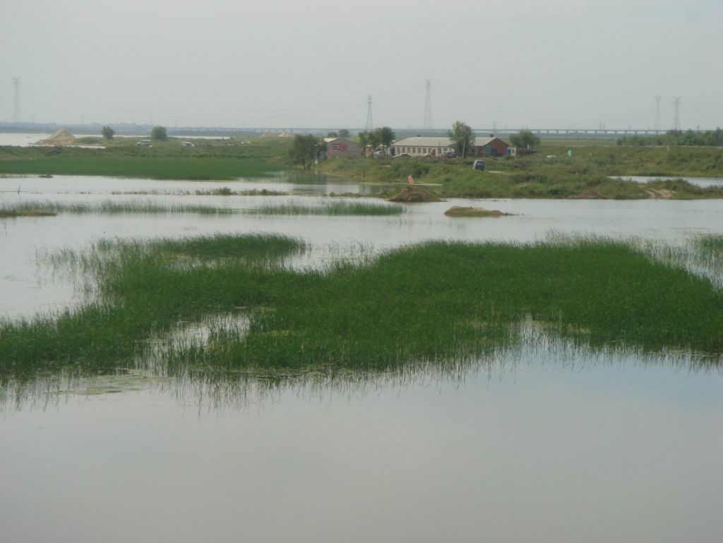 DSC09009.JPG