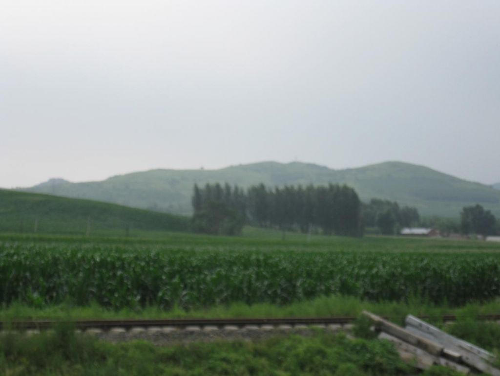 ����С������Ƭ 009.jpg