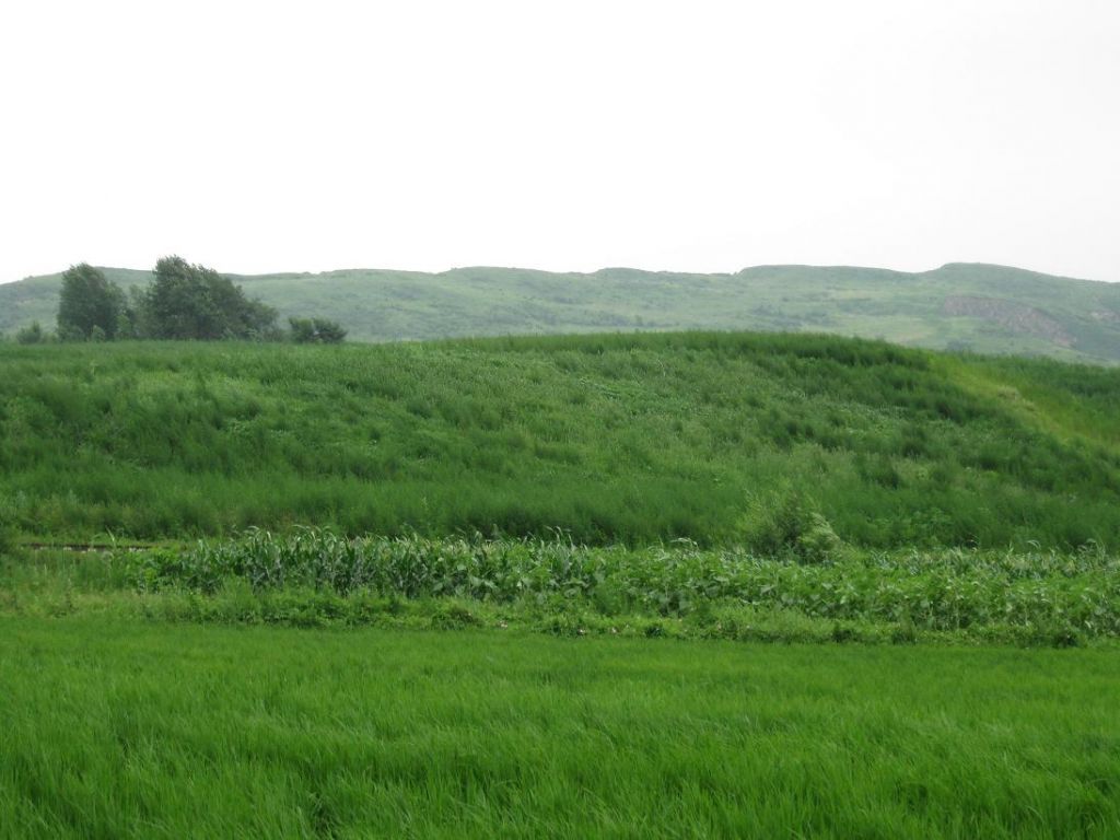 ����С������Ƭ 017.jpg