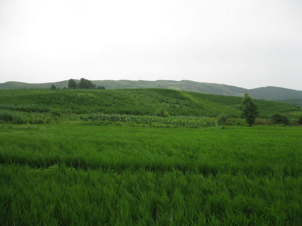 ����С������Ƭ 018.jpg