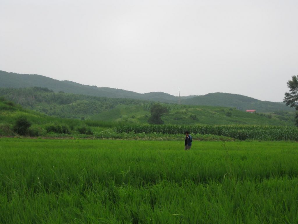 ����С������Ƭ 019.jpg