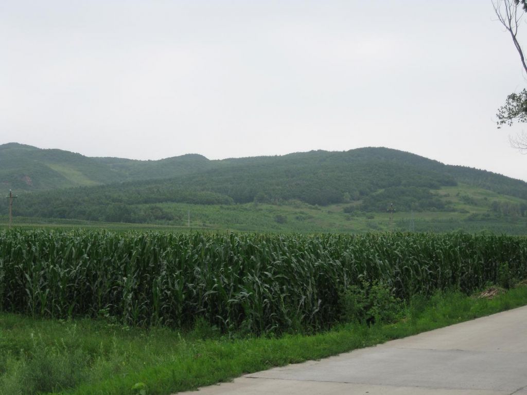 ����С������Ƭ 020.jpg