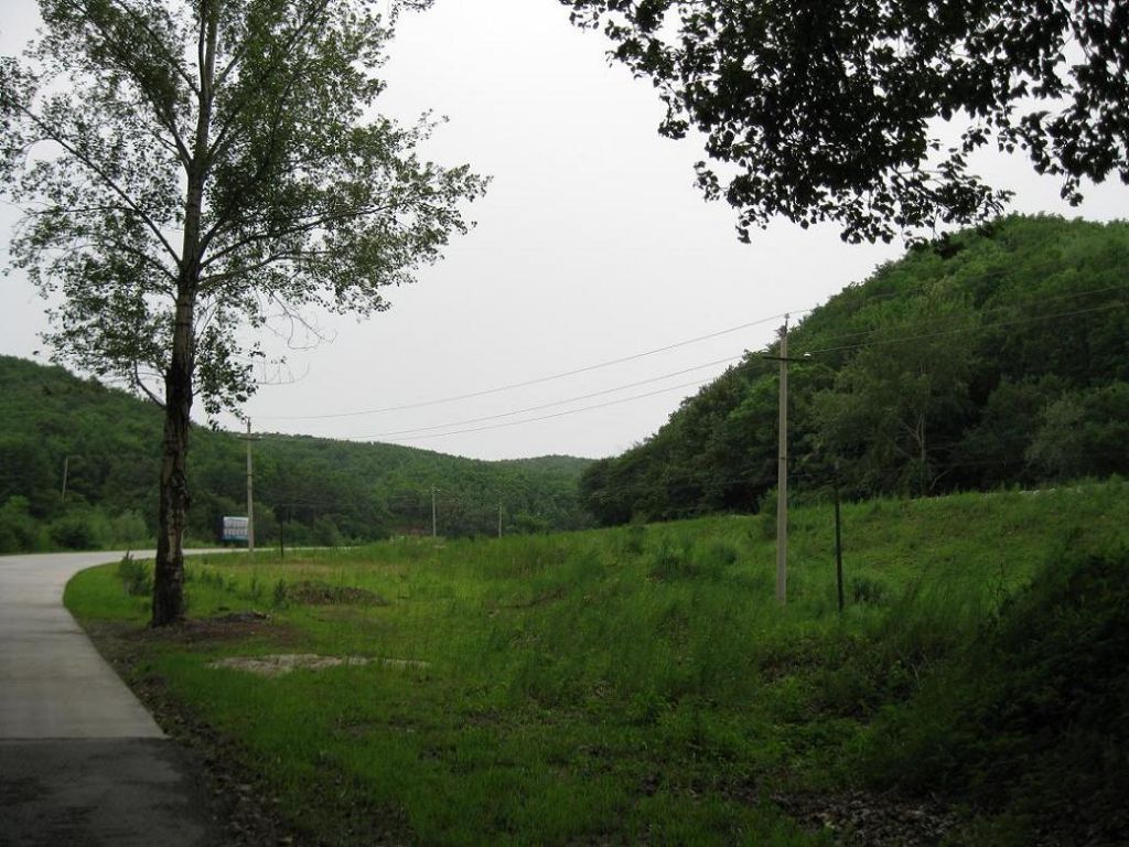 ����С������Ƭ 029.jpg