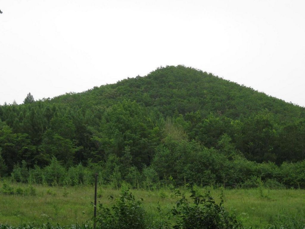 ����С������Ƭ 040.jpg