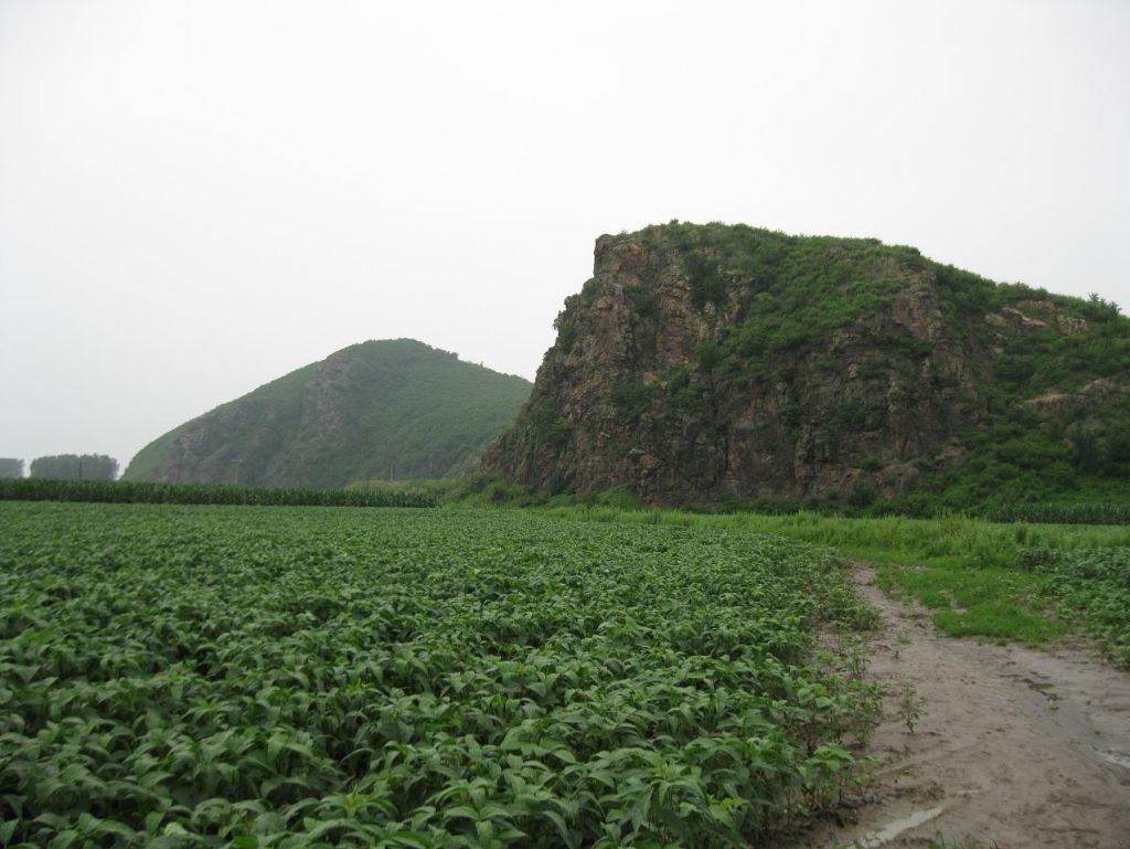 ����С������Ƭ 066.jpg