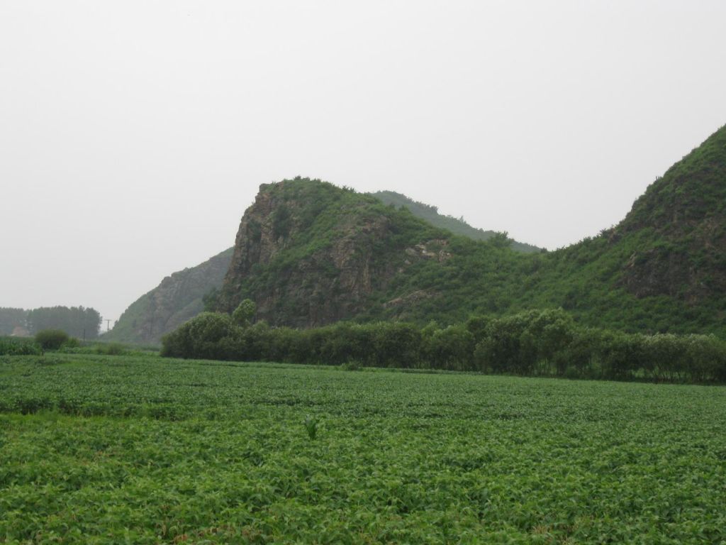 ����С������Ƭ 062.jpg