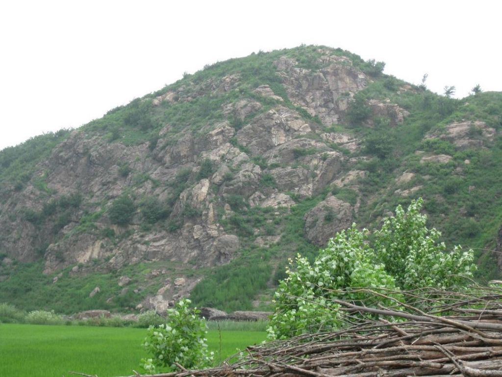 ����С������Ƭ 071.jpg