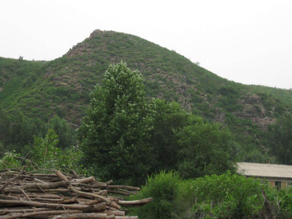 ����С������Ƭ 072.jpg