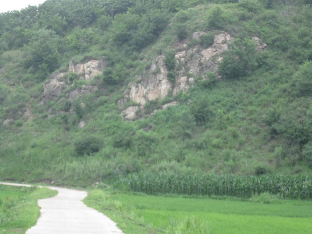 ����С������Ƭ 078.jpg