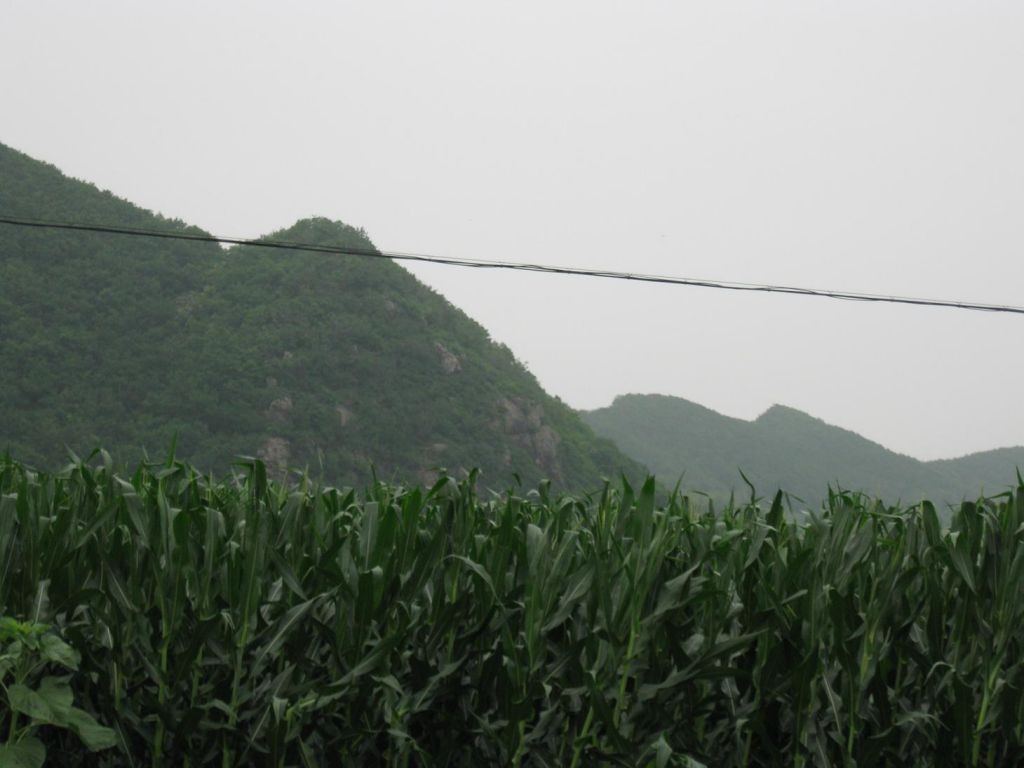 ����С������Ƭ 081.jpg