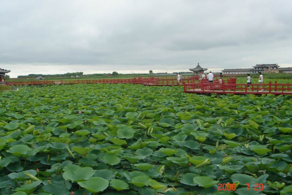 ������С DSC00430.JPG