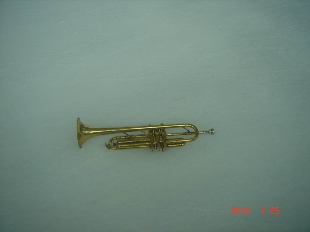 ������С DSC00242.JPG