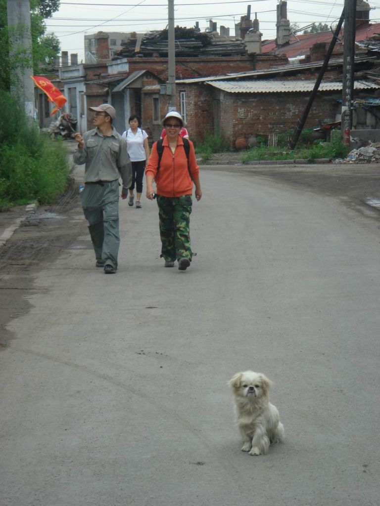 DSC08685.JPG