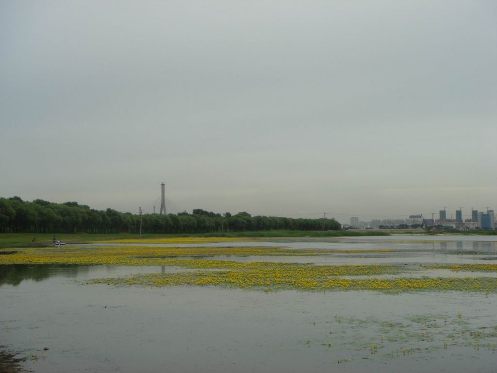 DSC08692.JPG