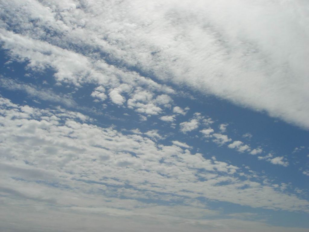 DSC08711.JPG