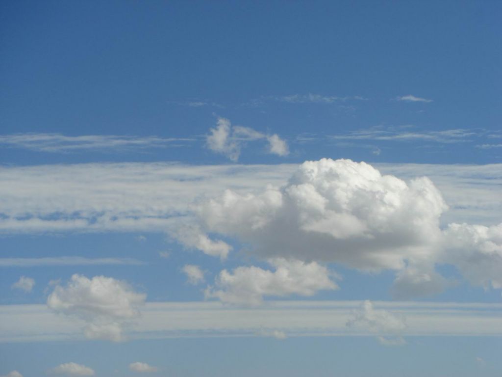 DSC08775.JPG