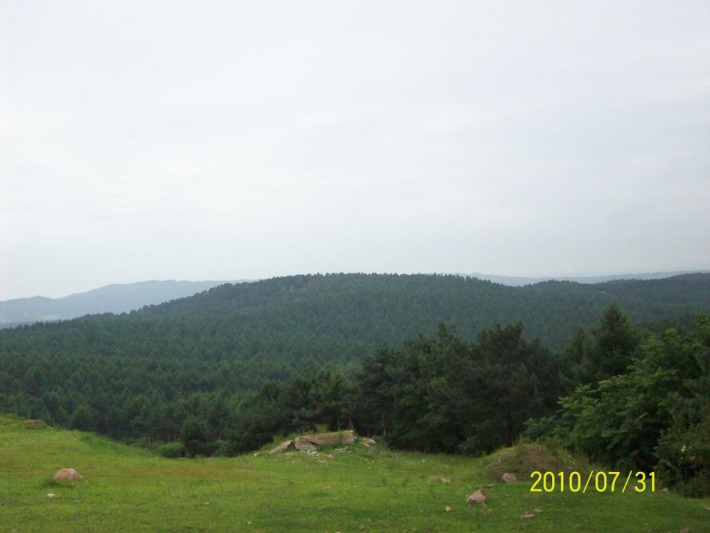 100_5565.JPG