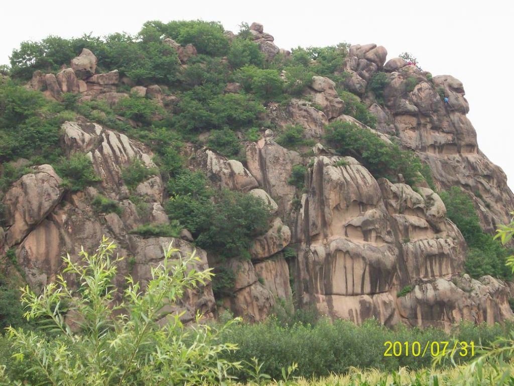100_5584.JPG